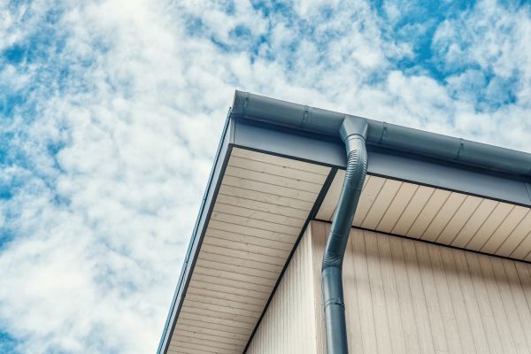 Gutter Fascia Repair in Grayson